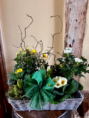 Planted garden basket