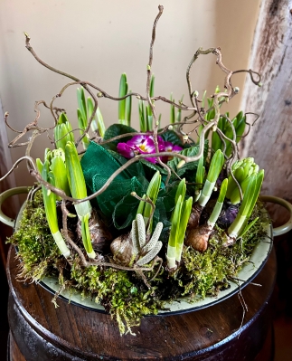 Scented Bulb Bowl